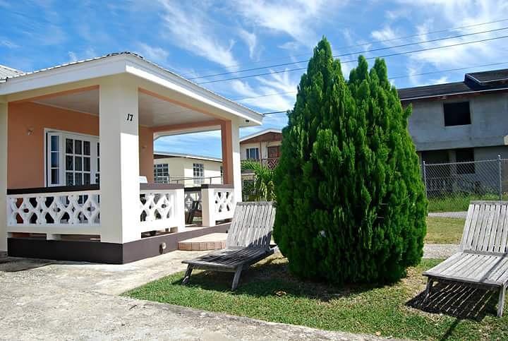 Sue'S Homestay 基督教堂市 外观 照片