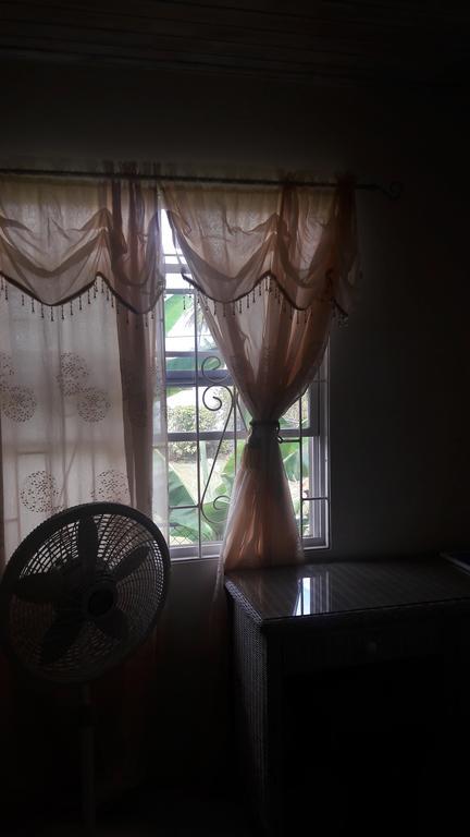Sue'S Homestay 基督教堂市 外观 照片