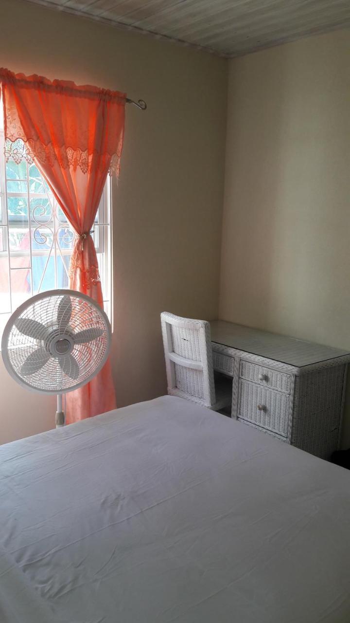 Sue'S Homestay 基督教堂市 外观 照片