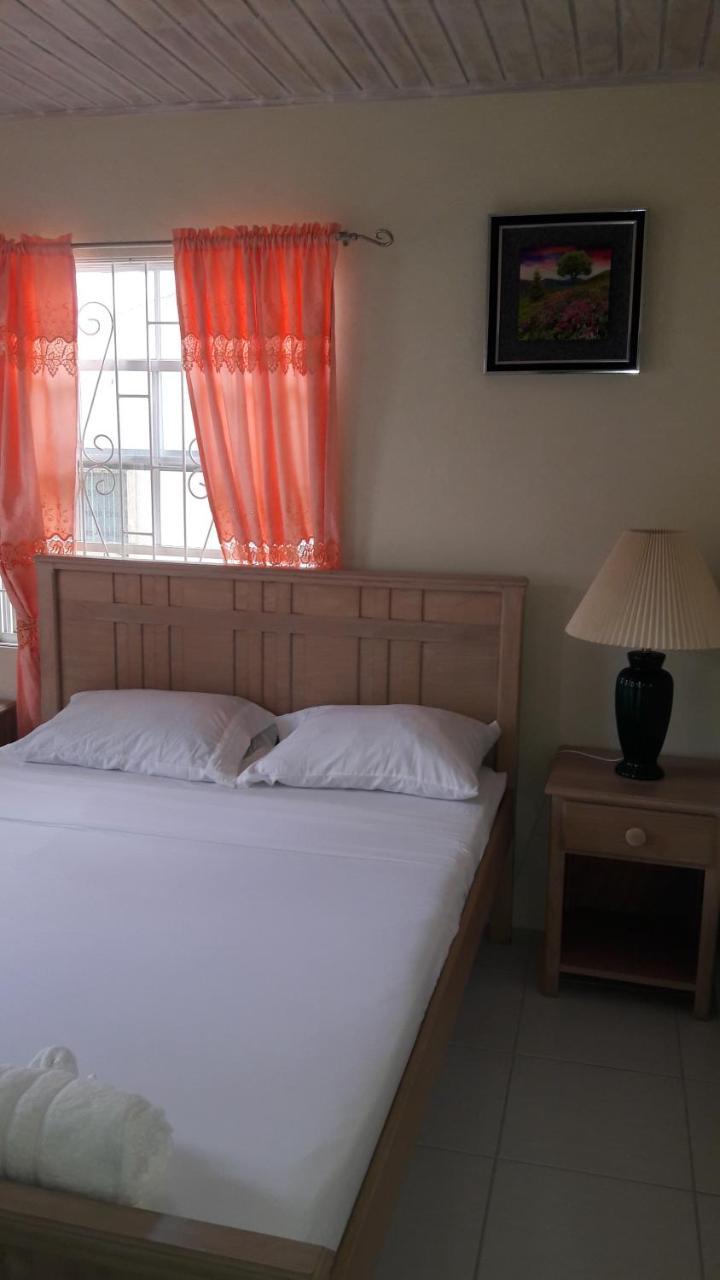 Sue'S Homestay 基督教堂市 外观 照片