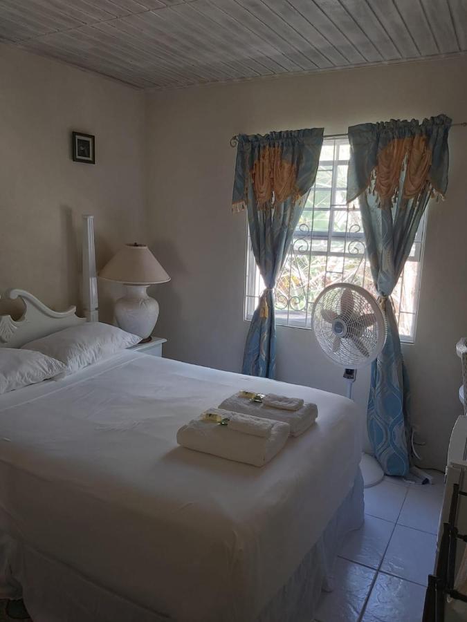 Sue'S Homestay 基督教堂市 外观 照片